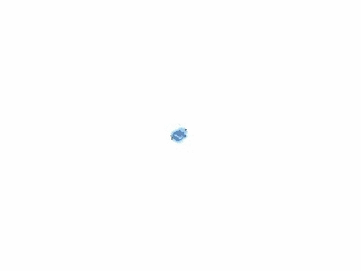Ford -W716707-S439 Splash Guard Kit Clip -W716707-S439 Ford Splash Guard Kit Clip Illustration 1 of 1