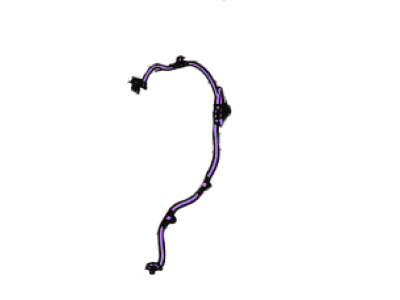 Ford BB5Z-14A318-B Socket And Wire Assembly - Lamp, Rear Passenger Side