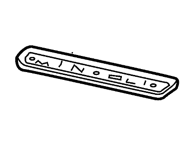 Ford 3W1Z-5413228-AAB Rear Sill Plate Insert Panel, Passenger Side