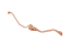 Ford HC3Z-2282-R Flex Hose, Front Driver Side