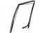 Ford 6L3Z-1825766-AA Run Assembly - Glass, Outer Passenger Side
