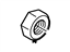 Ford -W701596-S413 Starter Nut