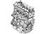 Ford BB5Z-6006-A Engine
