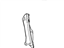 Ford 1S7Z-6K297-AA Chain Guide, Driver Side
