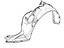 Ford 6E5Z-16102-A Fender Liner, Front Passenger Side