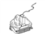 Ford 7C3Z-10732-A Tray Assembly - Battery, Passenger Side