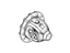 Ford 5C3Z-4026-C Differential Assembly