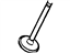 Ford F3LY-6507-A Intake Valve