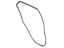 Ford DN1Z-74253A10-A Weatherstrip Assembly - Door Opening, Passenger Side