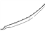Ford AA5Z-17808-AAPTM Rear Molding, Center