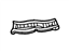 Ford FOCZ5845119A Gutter, Driver Side
