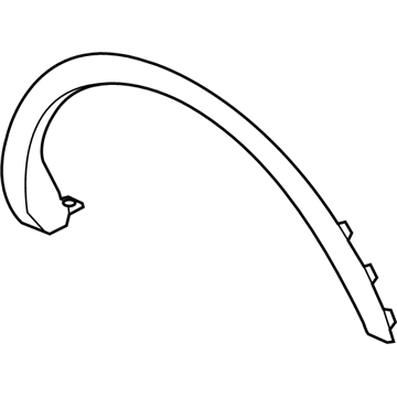 Lincoln FA1Z-58290A61-AA Moulding