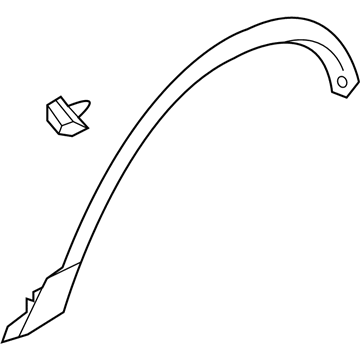 Ford FB5Z-16038-AA Moulding