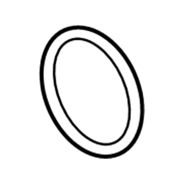 Ford BR3Z-8527-A Water Pump O-Ring