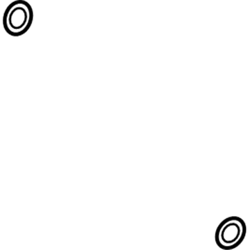 Ford DS7Z-19B596-A Hose & Tube Assembly O-Ring