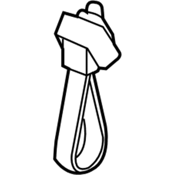 Ford AG1Z-54434A14-AA Pull Handle, Rear