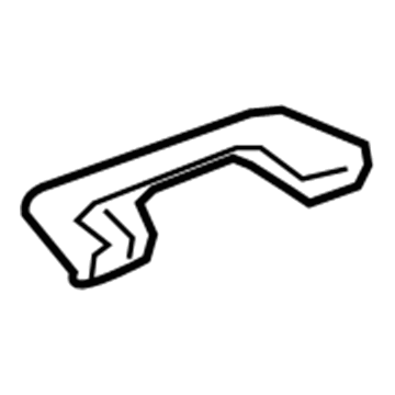 Ford 6E5Z-5431406-AAA Grip Handle, Black/Charcoal, Front Passenger Side