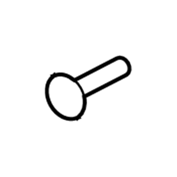 Ford -W705589-S Wheel Opening Molding Pin