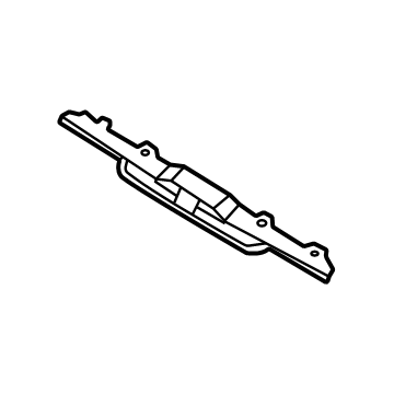 Ford LK9Z-8419-AAPTM Trim Molding