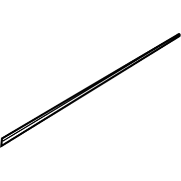 Ford BL3Z-1620000-DA Stripe Tape, Passenger Side