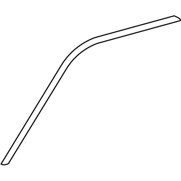 Ford 4L3Z-1503136-AA Side Molding, Passenger Side