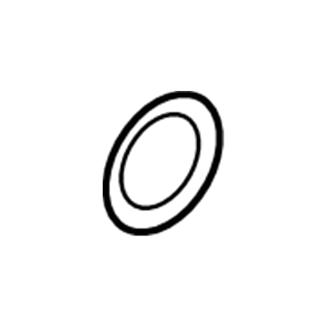 Ford F1VY-8255-A Thermostat O-Ring