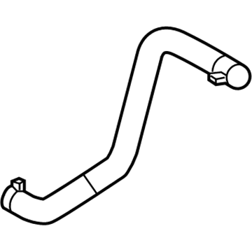 Ford 8G1Z-8286-B Lower Hose