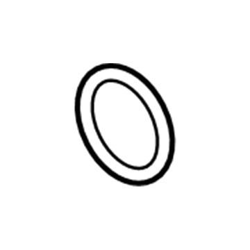 Ford BR3Z-8527-A Water Pump O-Ring