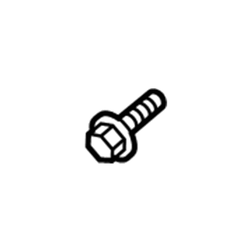 Ford -W716658-S437 Water Inlet Screw