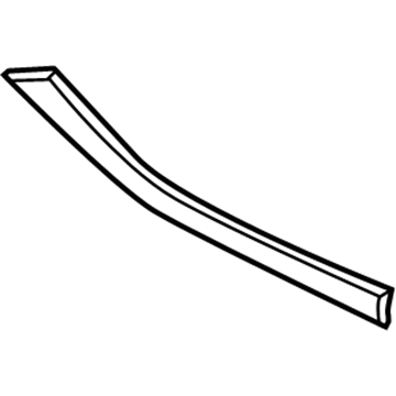 Ford DP5Z-54061A16-AA Trim Molding, Passenger Side