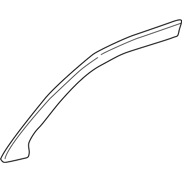 Lincoln Town Car Door Moldings - F8VZ-5420846-AA