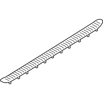 Ford 6L1Z-16490-AA Step Pad