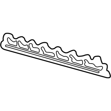 2002 Lincoln Blackwood Door Seal - 2C6Z-16253A24-AA