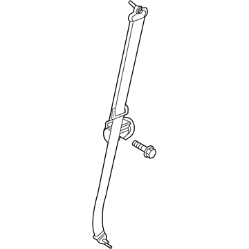 Ford LC3Z-26611B69-BA Outer Belt, Rear Driver Side