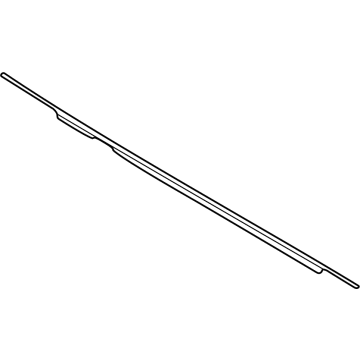 Ford M1PZ-7825860-C Belt Molding, Rear Passenger Side