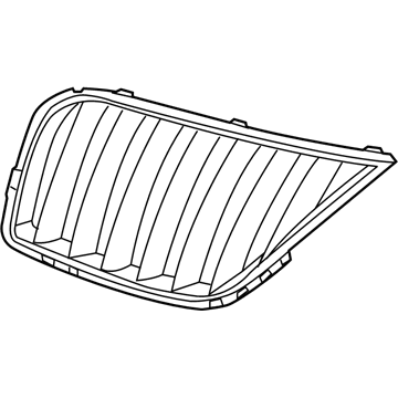 Ford BA1Z-8200-B Grille, Front Driver Side