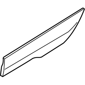 Ford Transit Connect Door Moldings - DT1Z-6129077-CD