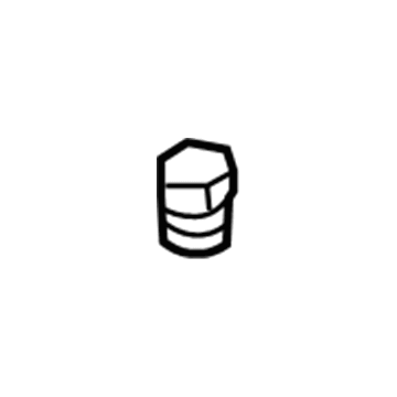 Ford DS7Z-19D702-A Cap