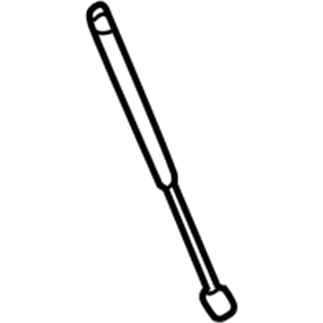 Ford F4ZZ-63406A10-A Lift Cylinder, Rear
