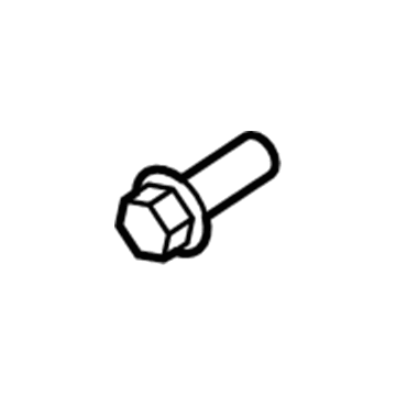 Lincoln -N807658-S307 Striker Screw