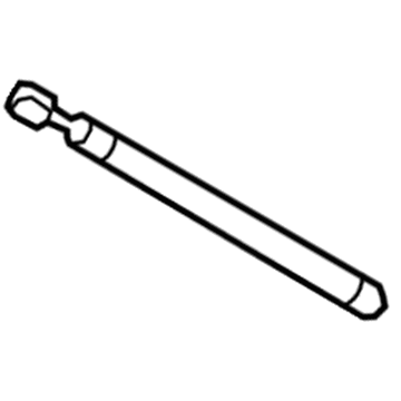 Ford AE9Z-16C826-A Lift Cylinder, Passenger Side