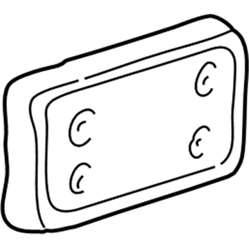 Ford XR3Z-17A385-AA License Panel, Front