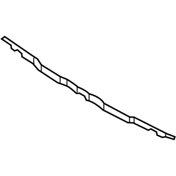 Ford FR3Z-15001A06-A Lower Grille Seal, Front