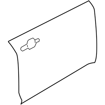 Ford AG1Z-5420200-A Outer Panel, Front Passenger Side