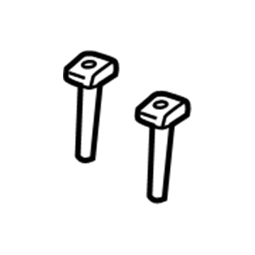 Lincoln DU5Z-96610A16-AX Headrest Guide