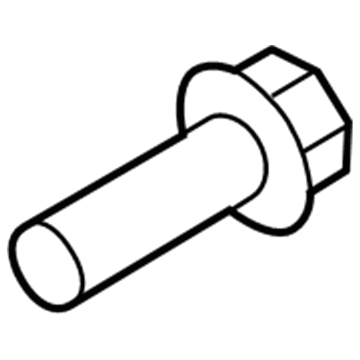 Lincoln -W507043-S437 Fog Lamp Screw