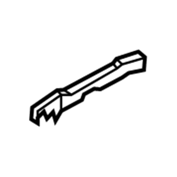 Ford CJ5Z-7804567-AB Trim Molding, Charcoal, Front