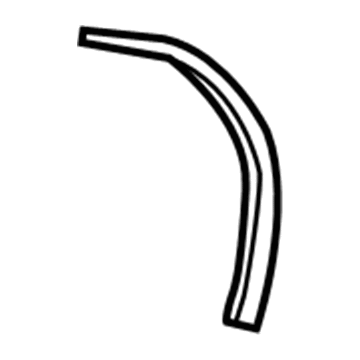 Ford DT1Z-6125325-C Weatherstrip - Door Lower