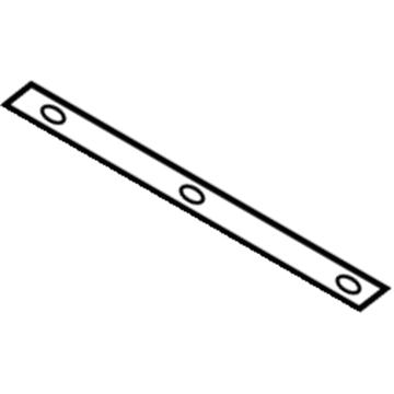 Ford FL3Z-1521702-B Protect Strip