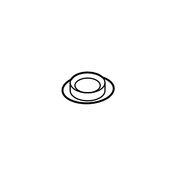 Ford -W528026-S300 Trunk Lid Plug